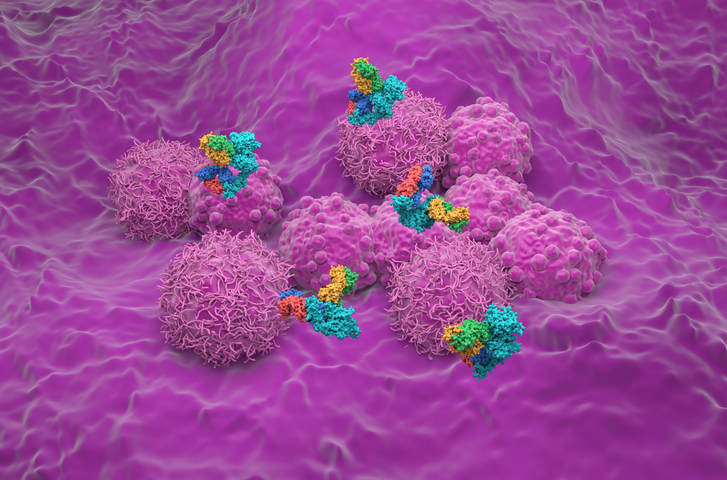 Enhertu Combo Boosts pCR in High-Risk HER2+ Early Breast Cancer: DESTINY-Breast11 Findings